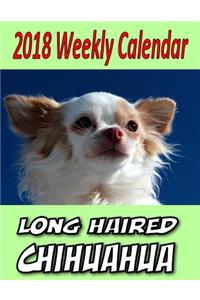 2018 Weekly Calendar Longhaired Chihuahua