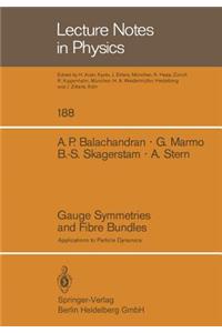 Gauge Symmetries and Fibre Bundles