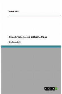 Heuschrecken, eine biblische Plage
