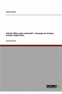 Schicht, Milieu oder Lebensstil? - Konzepte zur Analyse sozialer Ungleichheit