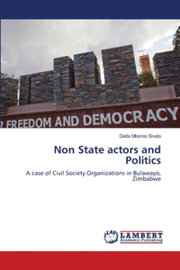 Non State actors and Politics