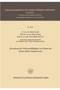 Erforschung Der Wärmeleitfähigkeit Von Gasen Bei Extrem Hohen Temperaturen