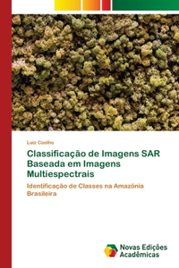 Classificação de Imagens SAR Baseada em Imagens Multiespectrais