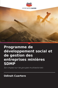 Programme de développement social et de gestion des entreprises minières SDMP
