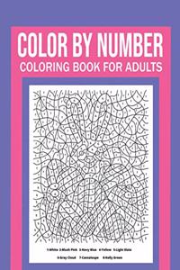 Color By Number Coloring Book For Adults