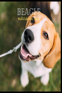Beagle Wall Calendar 2021