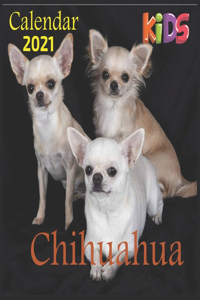 Chihuahua 2021