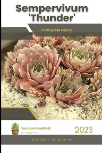 Sempervivum 'Thunder'