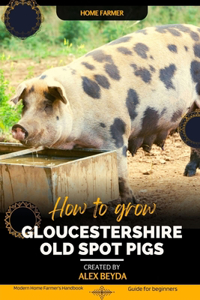 Gloucestershire Old Spot pigs
