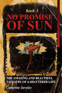No Promise of Sun, Book 3