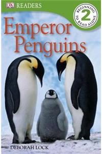 Emperor Penguins