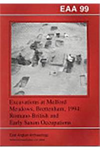 Excavations at Melford Meadows, Brettenham, 1994