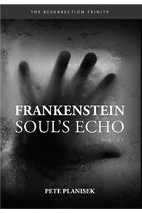 Frankenstein Soul's Echo