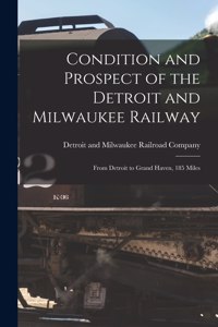 Condition and Prospect of the Detroit and Milwaukee Railway [microform]