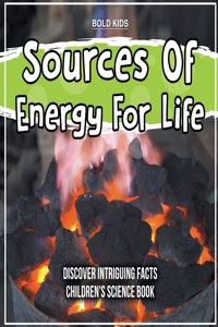 Sources Of Energy For Life 2nd Grade Children's Science Book