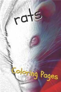 Rat Coloring Pages