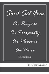 Soul Set Free