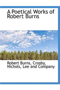 A Poetical Works of Robert Burns