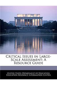 Critical Issues in Large-Scale Assessment