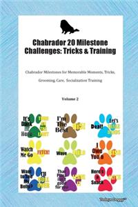 Chabrador 20 Milestone Challenges