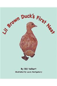 Lil Brown Duck's First Nest