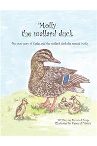 Molly the Mallard Duck