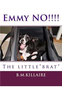 The name is Emmy Lou Sue. The little 