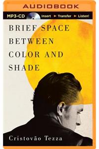 Brief Space Between Color and Shade
