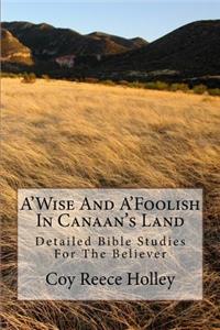 A'Wise And A'Foolish In Canaan's Land