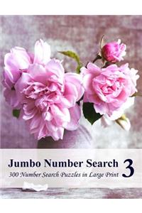 Jumbo Number Search 3