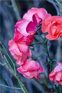 Cute Flower