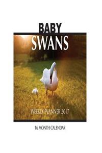 Baby Swans Weekly Planner 2017