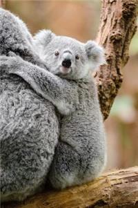 Such an Adorable Baby Koala Bear Journal