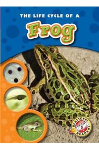 Life Cycle of a Frog