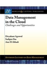 Data Management in the Cloud