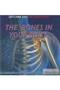 The Bones in Your Body