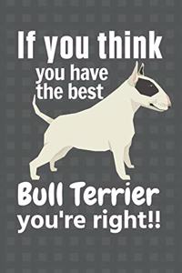 If you think you have the best Bull Terrier you're right!!