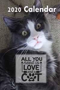 All You Need Is Love And A Cat 2020 Wall Calendar