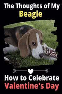 Thoughts of My Beagle