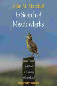 In Search of Meadowlarks