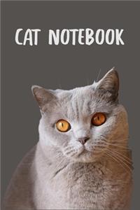 Cute Cat Notebook