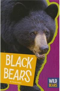 Black Bears