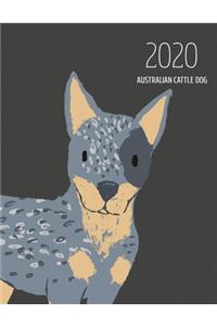 2020 Australian Cattle Dog
