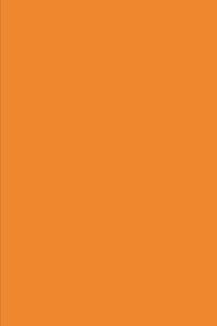 2020 Weekly Planner Orange Color Simple Plain Orange 134 Pages