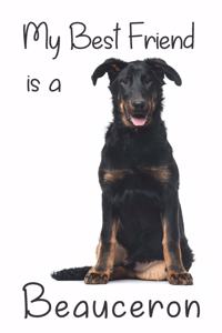 My best Friend is a Beauceron