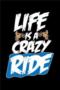 Life Is A Crazy Ride