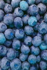 2020 Weekly Planner Juicy Blueberries 134 Pages