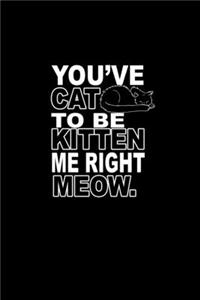 You've cat to be kitten me right meow