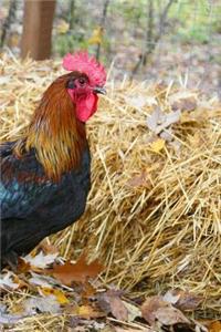 Rooster Notebook