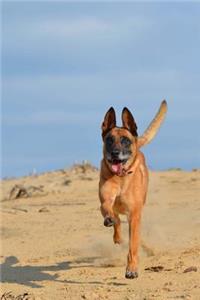 Belgian Shepherd Dog Malinois Running on the Beach Journal